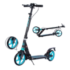 Foot 100KGS Foldable Two Wheel Kick Scooter 900mm Aluminum Alloy Scooter